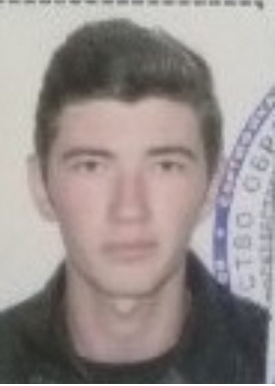 Аватар Никуленко Данил 